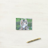 Calico Cat Post-it® Notes (Op bureau)