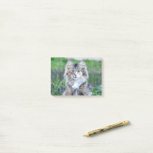 Calico Cat Post-it® Notes (Op bureau)