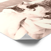  Calico Cat Poster (Hoek)