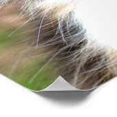 Calico Cat Poster (Hoek)