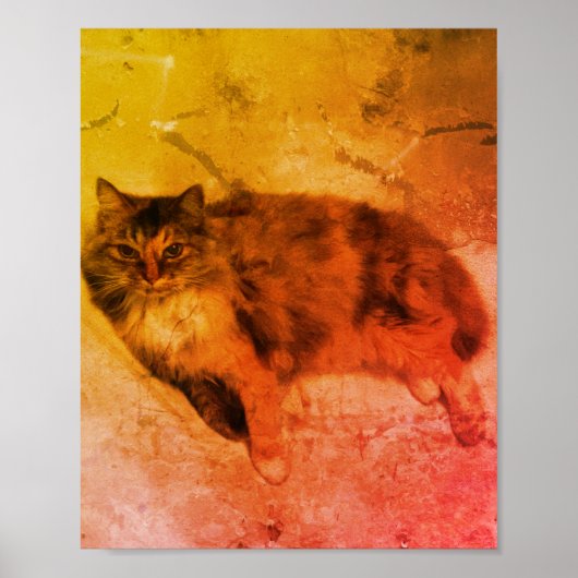 Calico Cat Poster (Voorkant)