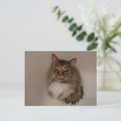 Calico Cat-postkaart Briefkaart (Staand voorkant)