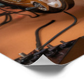 Calico Cat Rocker Poster (Hoek)