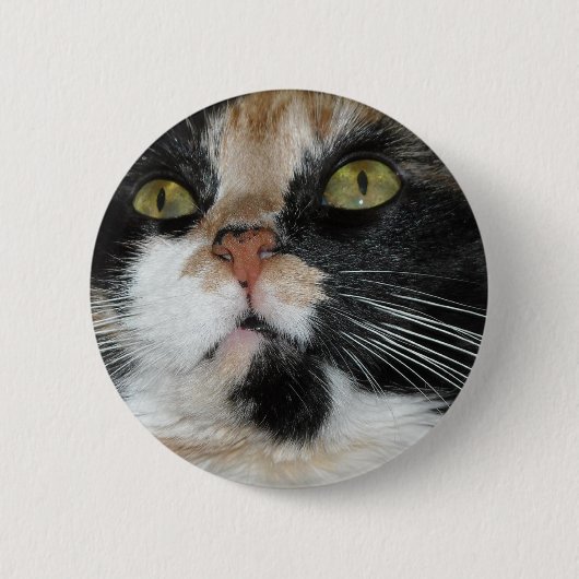 Calico Cat Ronde Button 5,7 Cm (Voorkant)