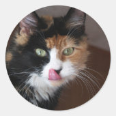 Calico Cat Ronde Sticker (Voorkant)