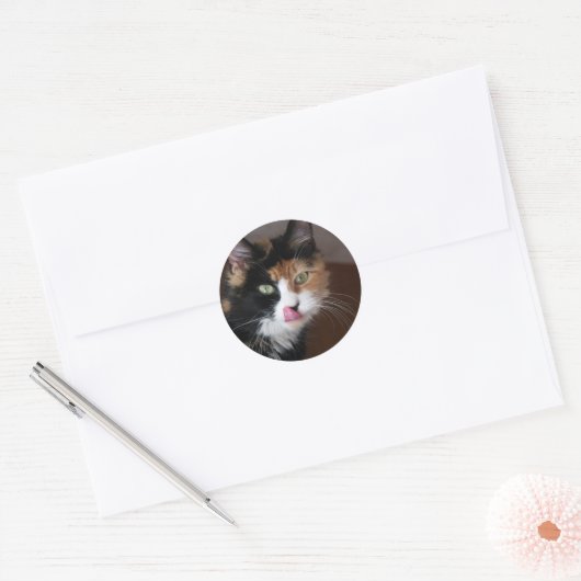 Calico Cat Ronde Sticker (Envelop)