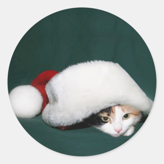 Calico cat Santa sticker (Voorkant)