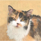 Calico Cat-schildering - Kute Original Cat Art Sticker (Voorkant)