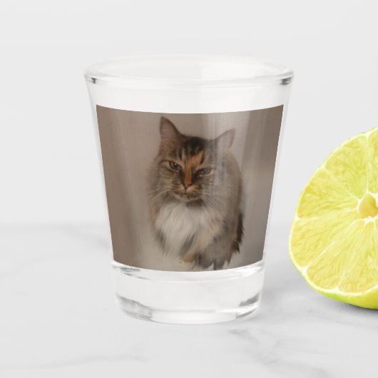 Calico Cat Shot Glass Glas (Voorkant)