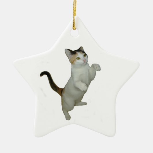Calico Cat Sit Up Ornament (Voorkant)