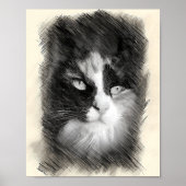 Calico Cat Sketch Art - Feline Portrait Drawing Poster (Voorkant)