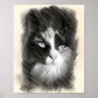Calico Cat Sketch Art - Feline Portrait Drawing Poster