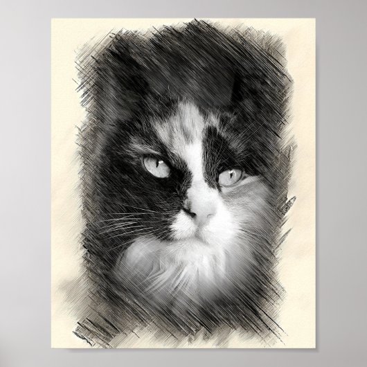 Calico Cat Sketch Art - Feline Portrait Drawing Poster (Voorkant)
