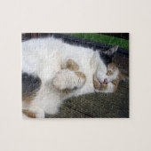 Calico cat slaapt buiten legpuzzel (Horizontaal)