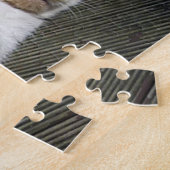 Calico cat slaapt buiten legpuzzel (Zijkant)
