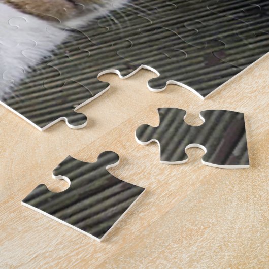 Calico cat slaapt buiten legpuzzel (Zijkant)