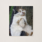 Calico cat slaapt buiten legpuzzel (Verticaal)