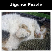 Calico cat slaapt buiten legpuzzel