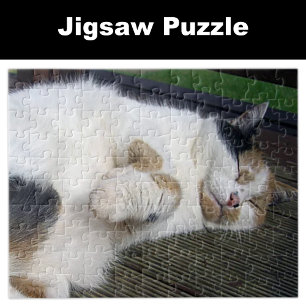 Calico cat slaapt buiten legpuzzel