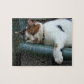 Calico cat slapen legpuzzel (Horizontaal)