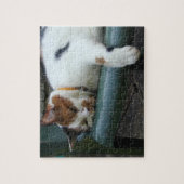 Calico cat slapen legpuzzel (Verticaal)