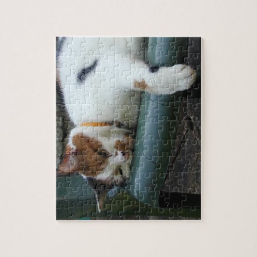 Calico cat slapen legpuzzel (Verticaal)