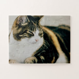 Calico Cat Slapende Calm Puzzle Cat Lover Legpuzzel