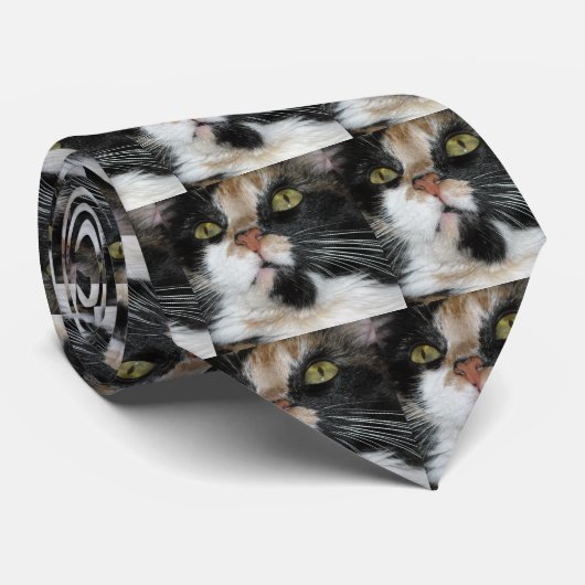 Calico Cat Stropdas (Opgerold)