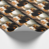 Calico Cat Sunning Cadeaupapier (Hoek)