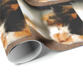 Calico Cat Sunning Cadeaupapier (Rol Hoek)