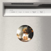 Calico Cat Sunning Magneet (Insitu (Vaatwasser))