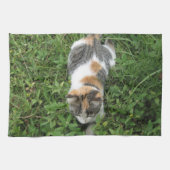Calico Cat Theedoek (Horizontaal)