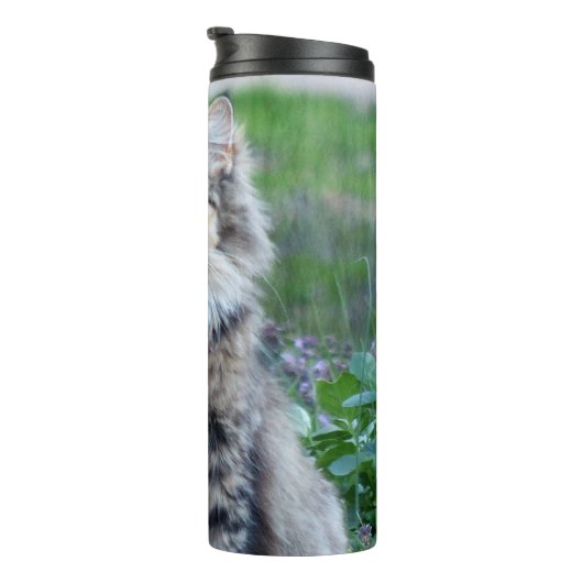 Calico Cat Thermosbeker (Geroteerd rechts)