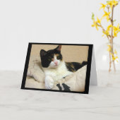 Calico Cat Verjaardagswensen Kaart (Gele Bloem)