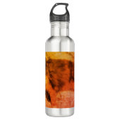 Calico Cat Water Bottle Waterfles (Voorkant)