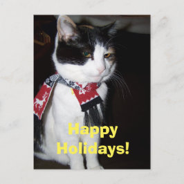Calico Cat Wearing Scarf Happy Halidays Postcard Feestdagenkaart