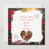 Calico Cat with Poinsettias Custom Christmas Feestdagenkaart (Achterkant)