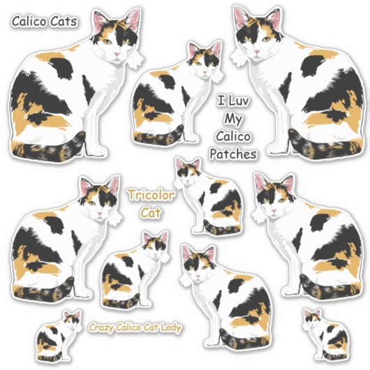 Calico Cats LG Sticker Set (Voorkant)