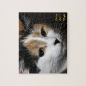 Calico Cat's nachtpuzzle Legpuzzel (Verticaal)