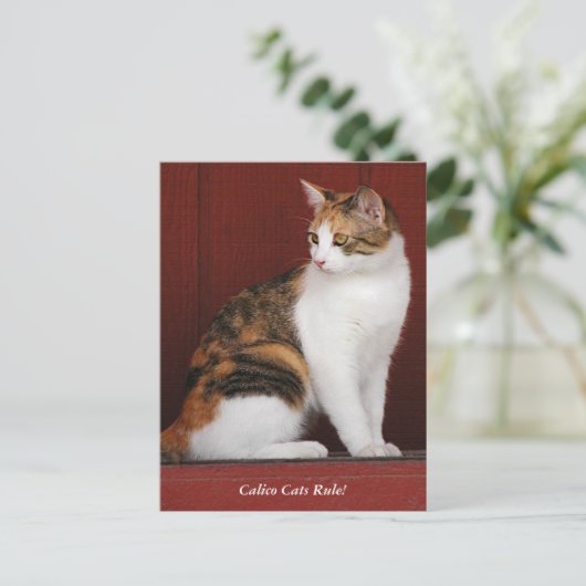 Calico Cats Rule! Post Card Briefkaart (Staand voorkant)
