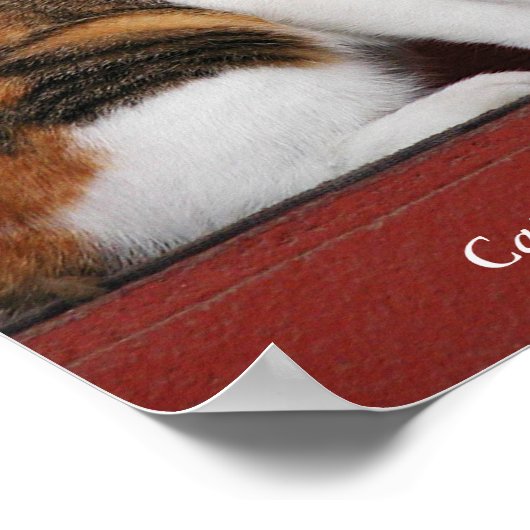 Calico Cats Rule! Poster (Hoek)