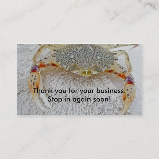 Calico Crab Visitekaartje (Achterkant)