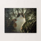 Calico en pijnhout of uw foto-puzzel legpuzzel (Horizontaal)