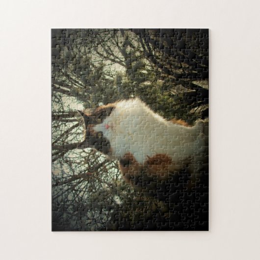 Calico en pijnhout of uw foto-puzzel legpuzzel (Verticaal)
