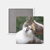 Calico Enjoys A Stroke Magneet (Voorkant / Achterkant)