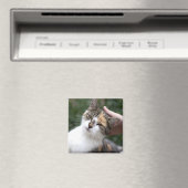 Calico Enjoys A Stroke Magneet (Insitu (Vaatwasser))