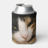 Calico Face Blikjeskoeler (Blikje Voorkant)