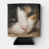 Calico Face Blikjeskoeler (Voorkant)