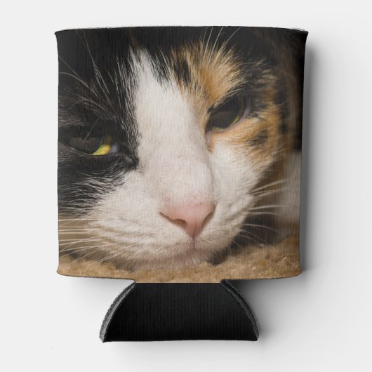 Calico Face Blikjeskoeler (Voorkant)