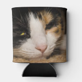 Calico Face Blikjeskoeler (Achterkant)